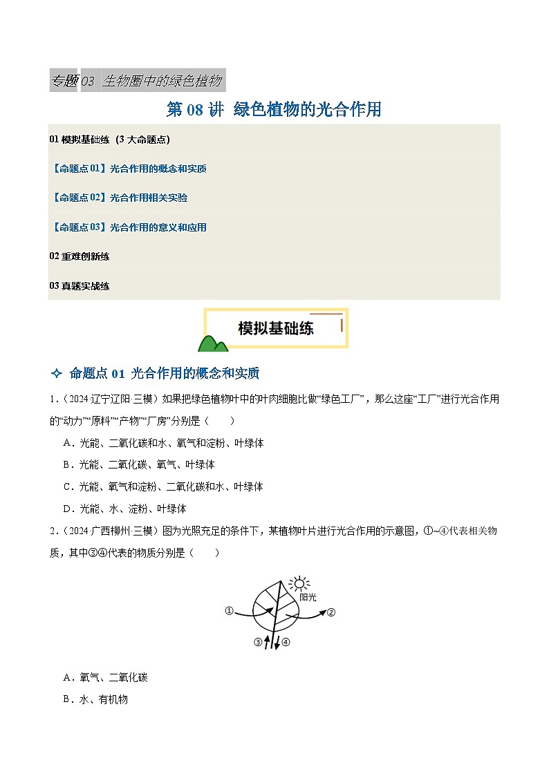2025年中考生物一轮复习 第08讲 绿色植物的光合作用（3大命题点分层精练）（原卷版）第1页