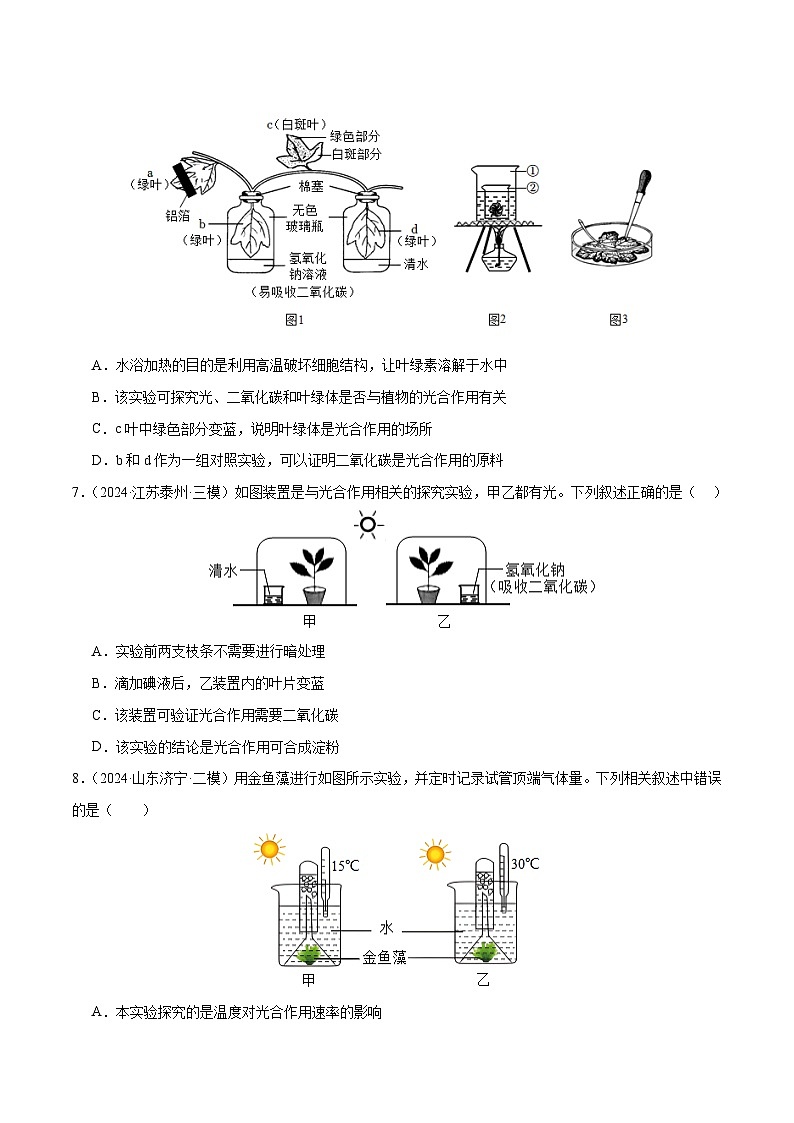 2025年中考生物一轮复习 第08讲 绿色植物的光合作用（3大命题点分层精练）（原卷版）第3页