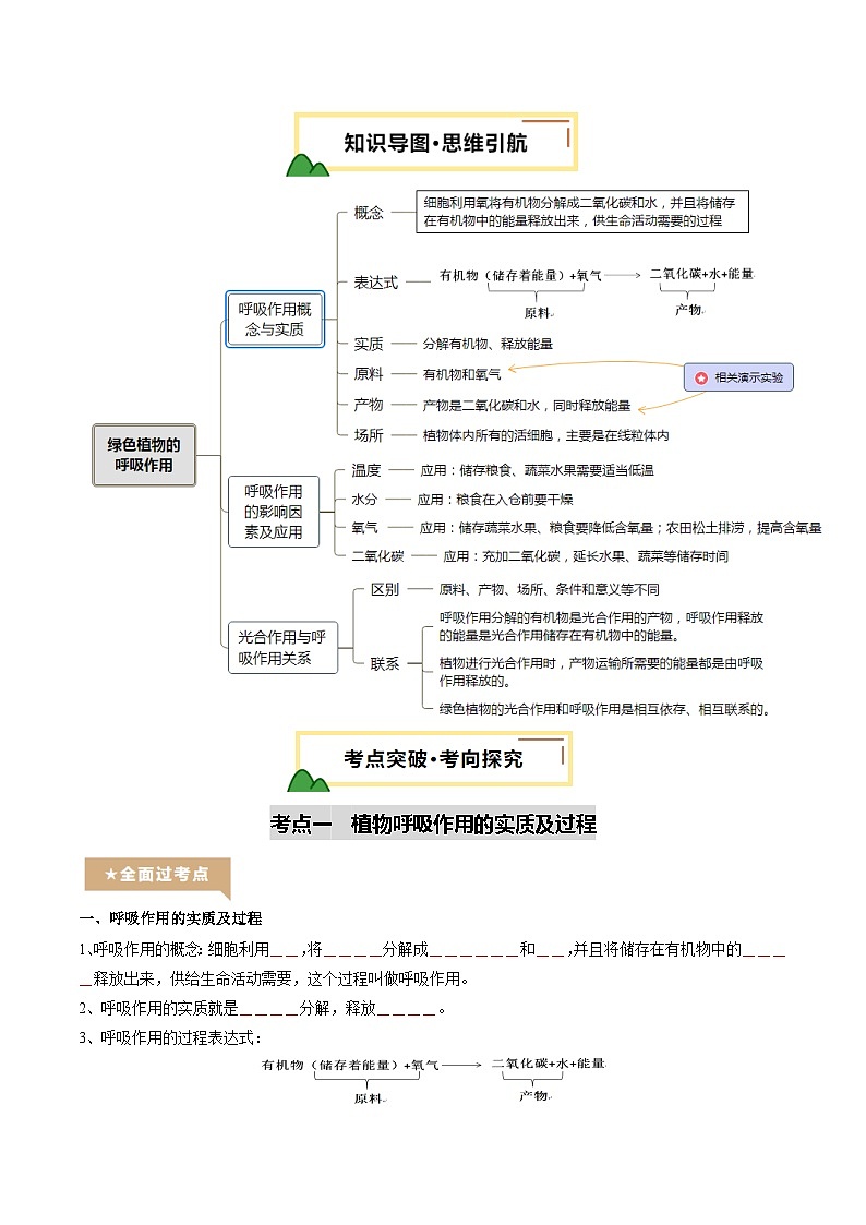 2025年中考生物一轮复习 第09讲 绿色植物的呼吸作用（精研讲义）（原卷版）第2页