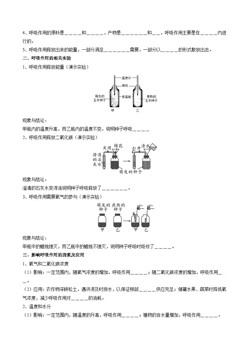 2025年中考生物一轮复习 第09讲 绿色植物的呼吸作用（精研讲义）（原卷版）第3页