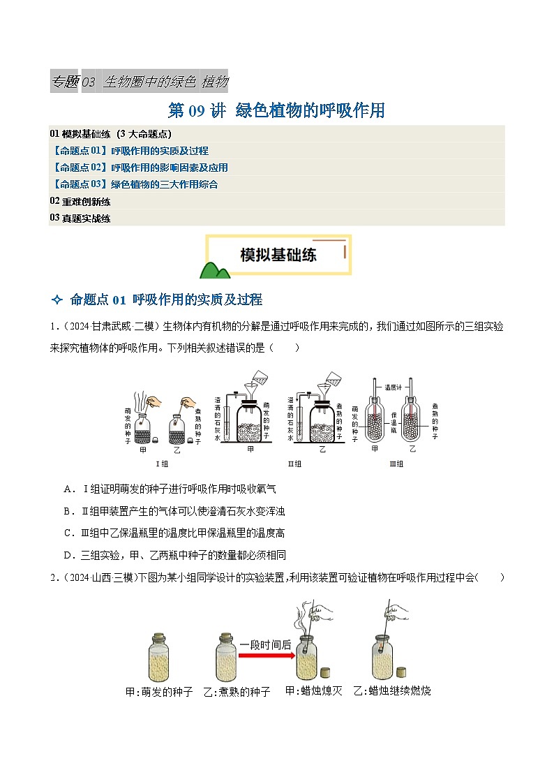 2025年中考生物一轮复习 第09讲 绿色植物的呼吸作用（3大命题点分层精练）（原卷版）第1页