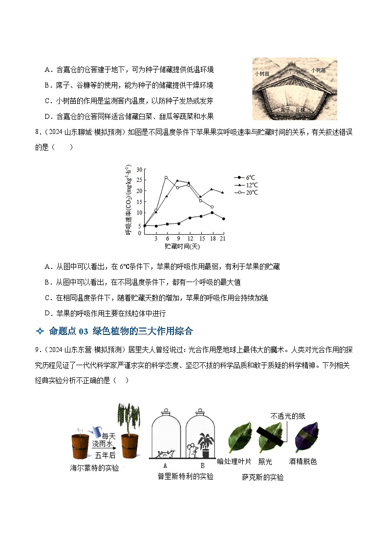 2025年中考生物一轮复习 第09讲 绿色植物的呼吸作用（3大命题点分层精练）（原卷版）第3页