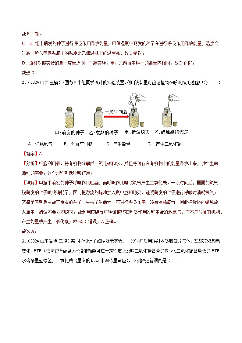 2025年中考生物一轮复习 第09讲 绿色植物的呼吸作用（3大命题点分层精练）（解析版）第2页