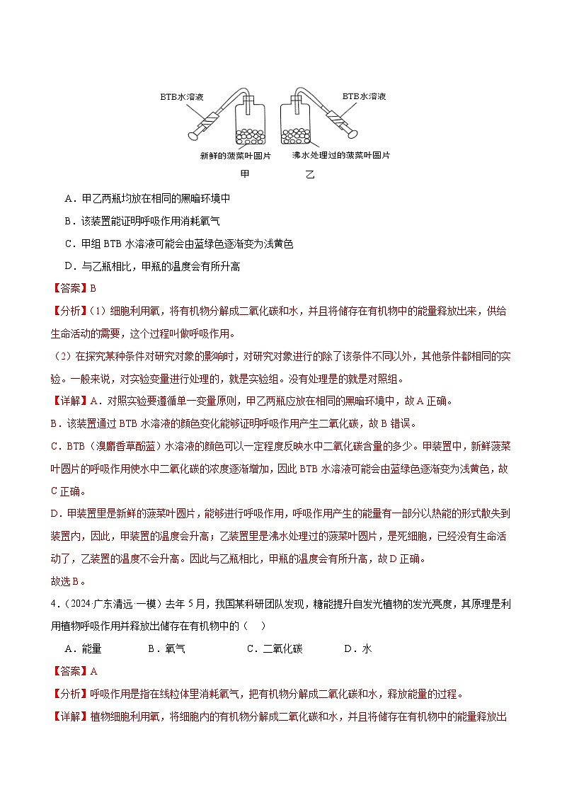 2025年中考生物一轮复习 第09讲 绿色植物的呼吸作用（3大命题点分层精练）（解析版）第3页