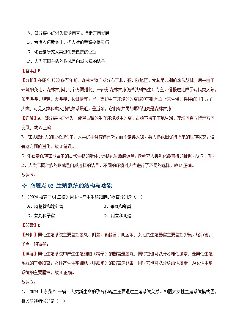 2025年中考生物一轮复习 第10讲 人的由来（4大命题点分层精练）（解析版）第3页