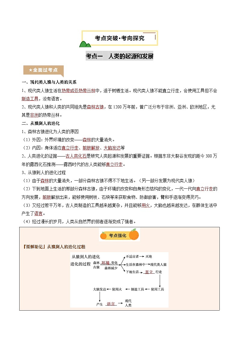 2025年中考生物一轮复习 第10讲 人的由来（精研讲义）（解析版）第3页