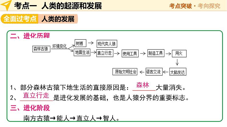 2025年中考生物一轮复习 第10讲 人的由来 课件第7页