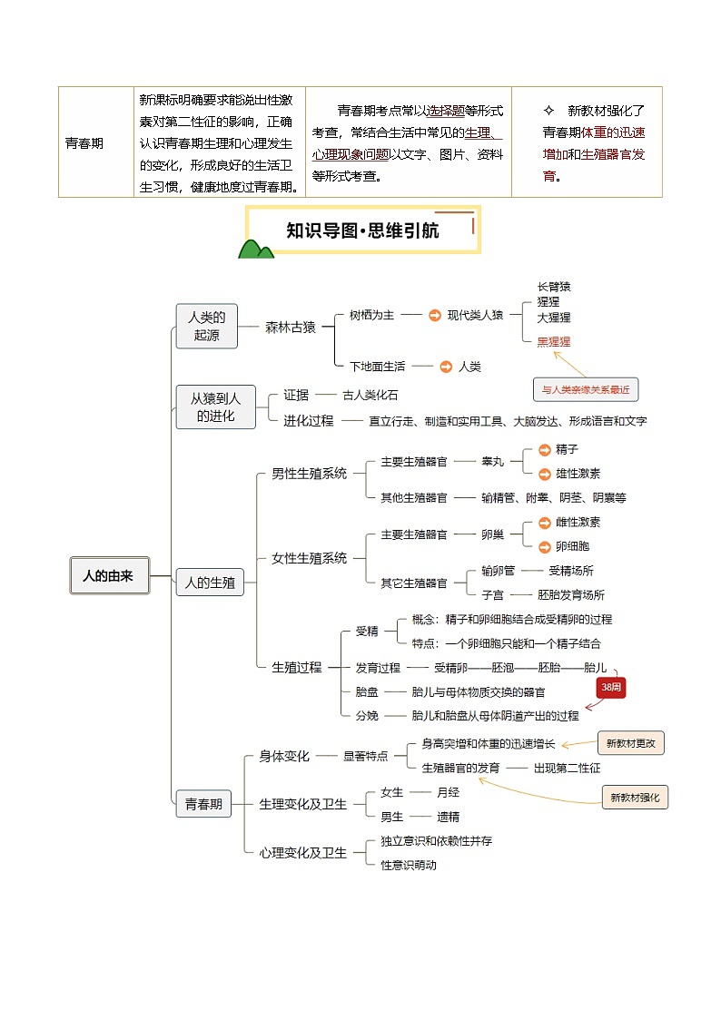 2025年中考生物一轮复习 第10讲 人的由来（精研讲义）（原卷版）第2页
