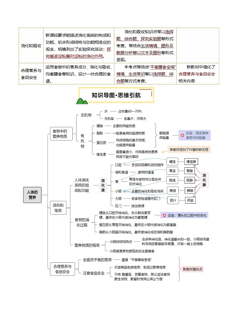 2025年中考生物一轮复习 第11讲 人体的营养（精研讲义）（原卷版）第2页