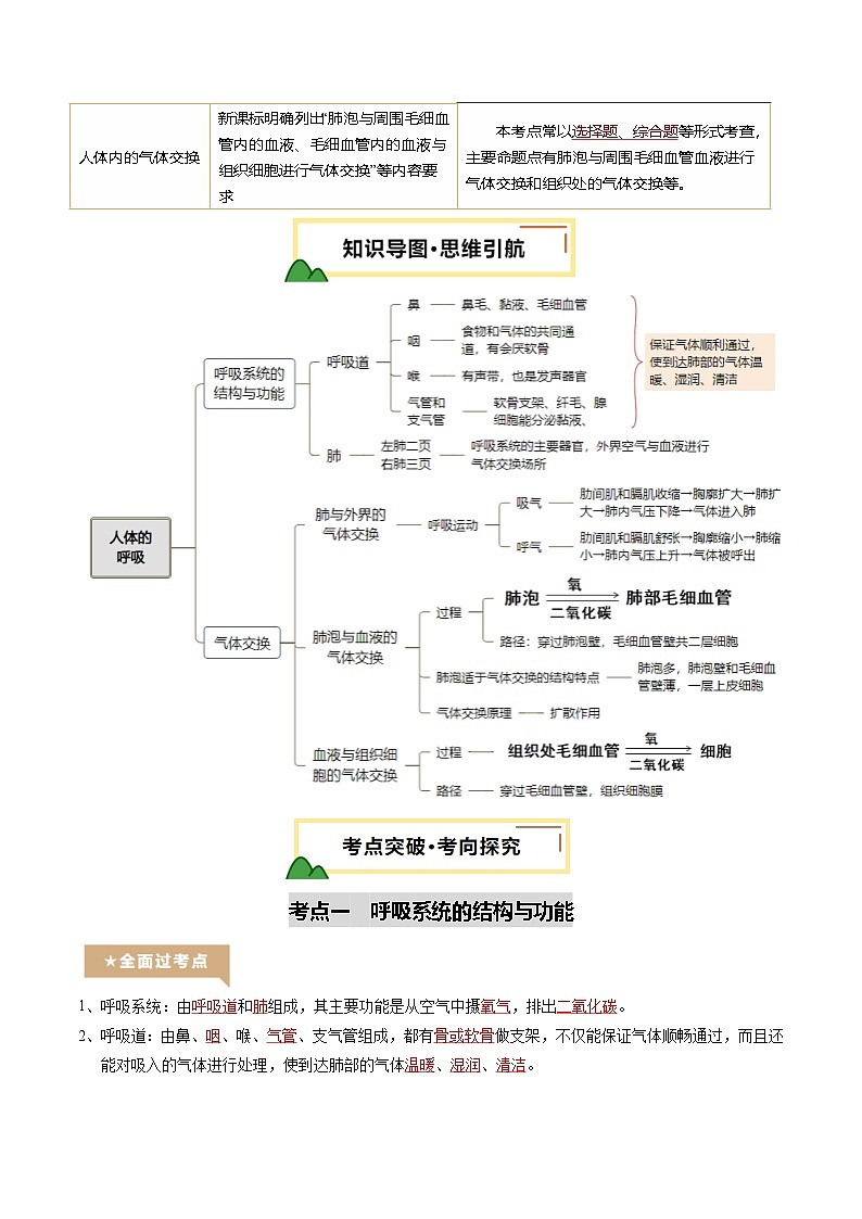 2025年中考生物一轮复习 第12讲 人体的呼吸（精研讲义）（解析版）第2页