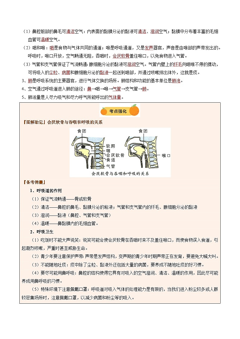 2025年中考生物一轮复习 第12讲 人体的呼吸（精研讲义）（解析版）第3页