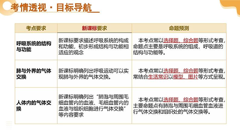 2025年中考生物一轮复习 第12讲 人体的呼吸 课件第3页
