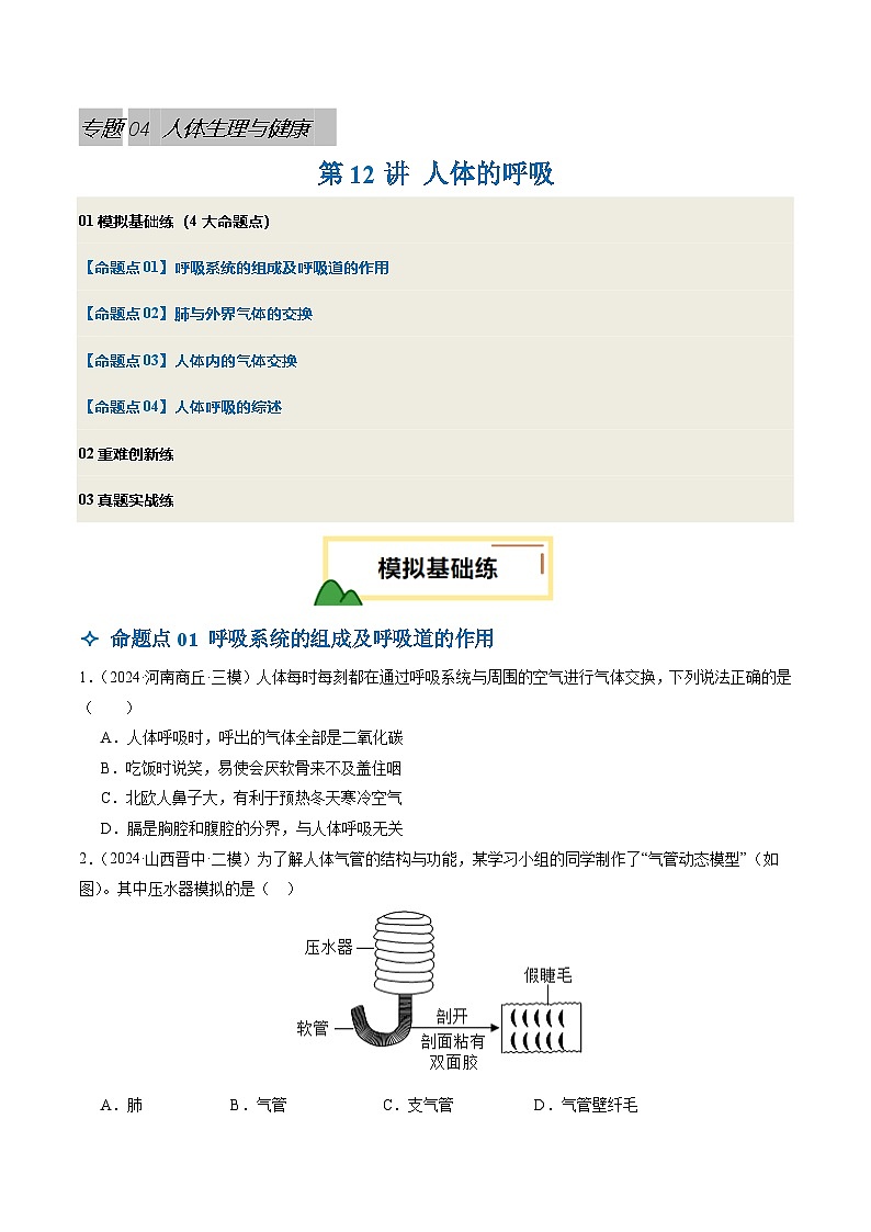 2025年中考生物一轮复习 第12讲 人体的呼吸（4大命题点分层精练）（原卷版）第1页