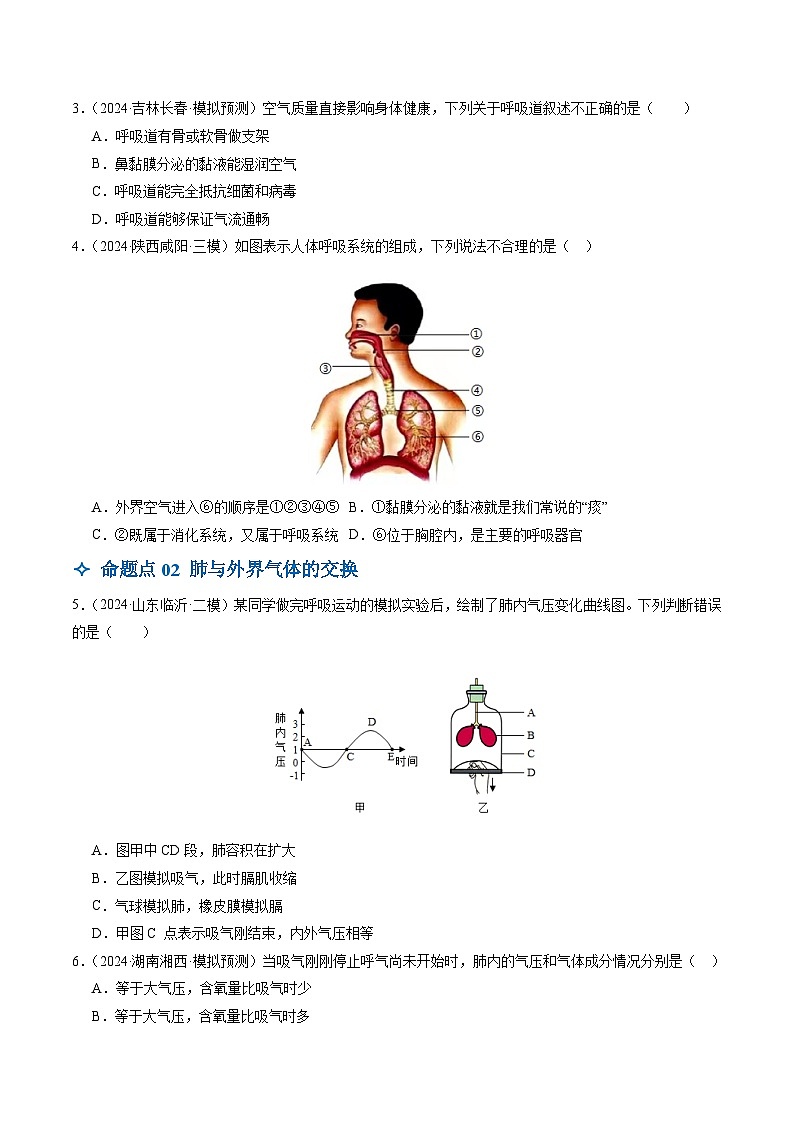 2025年中考生物一轮复习 第12讲 人体的呼吸（4大命题点分层精练）（原卷版）第2页