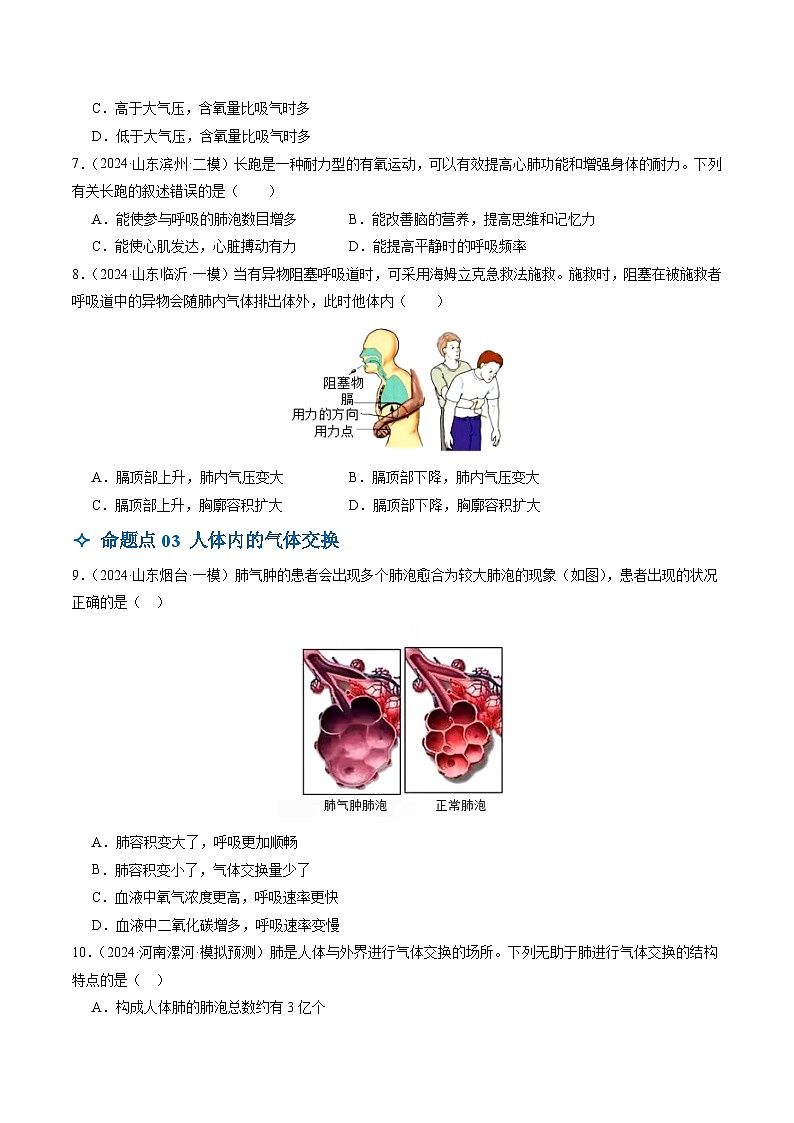 2025年中考生物一轮复习 第12讲 人体的呼吸（4大命题点分层精练）（原卷版）第3页