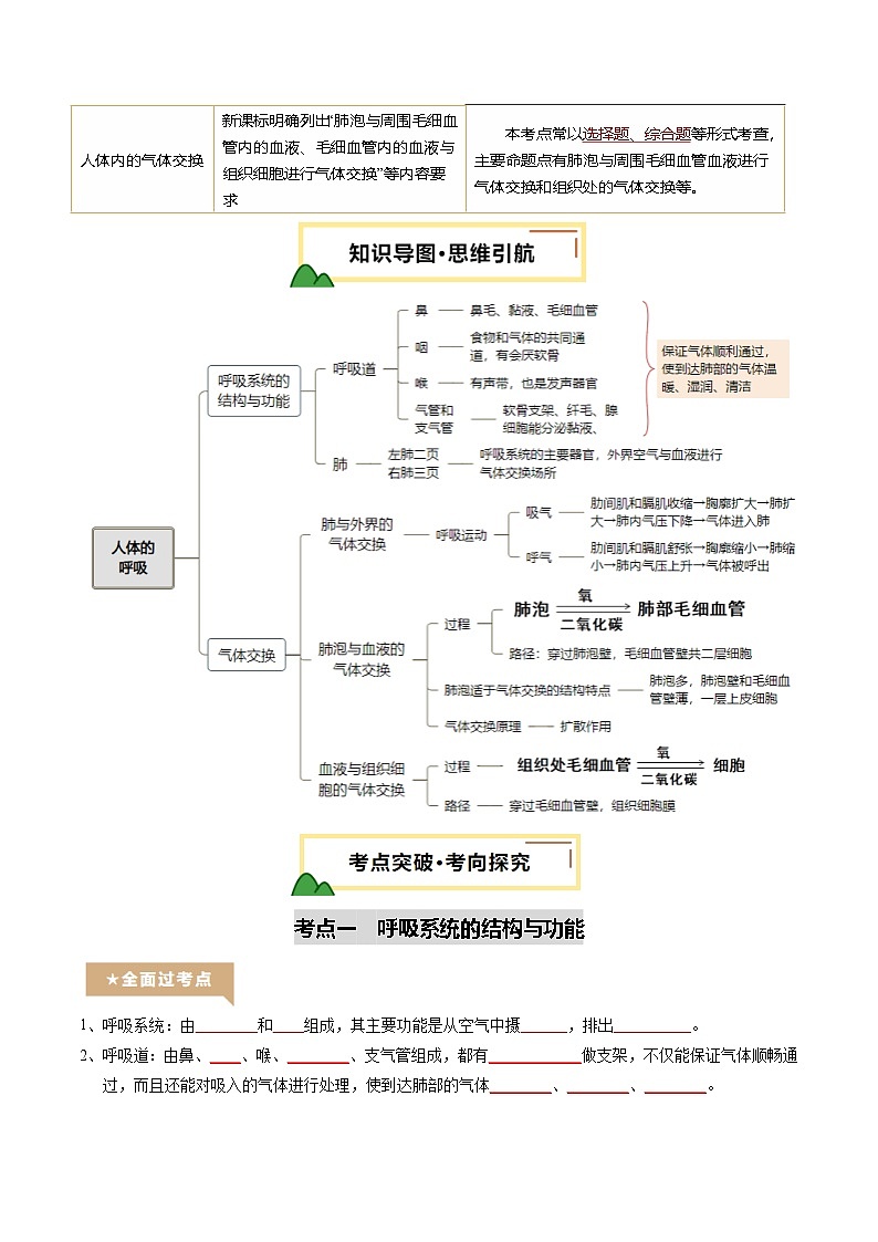 2025年中考生物一轮复习 第12讲 人体的呼吸（精研讲义）（原卷版）第2页