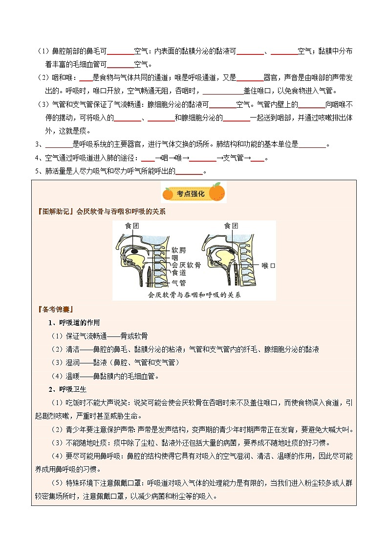 2025年中考生物一轮复习 第12讲 人体的呼吸（精研讲义）（原卷版）第3页