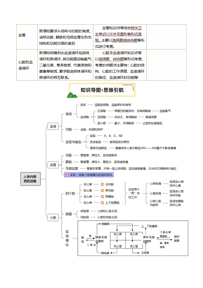 2025年中考生物一轮复习 第13讲 人体内物质的运输（精研讲义）（原卷版）第2页