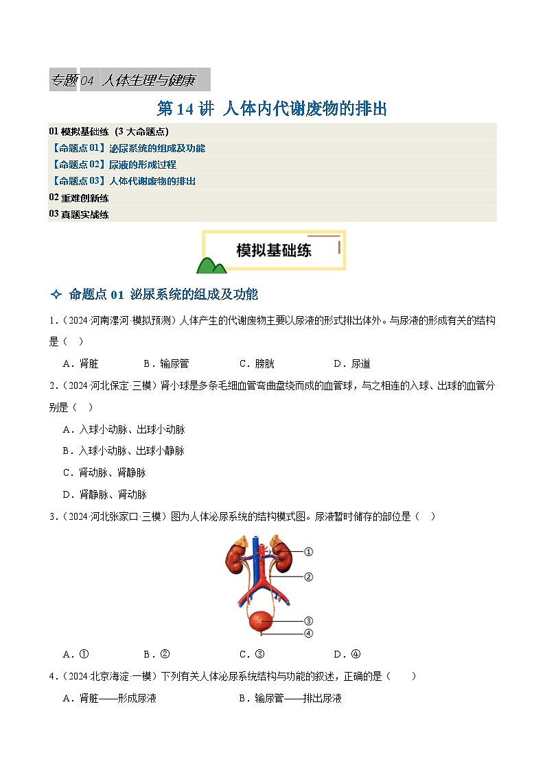 2025年中考生物一轮复习 第14讲 人体内代谢废物的排出（3大命题点分层精练）（原卷版）第1页
