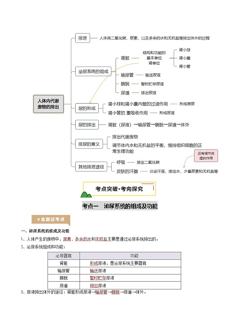 2025年中考生物一轮复习 第14讲 人体内代谢废物的排出（精研讲义）（解析版）第2页