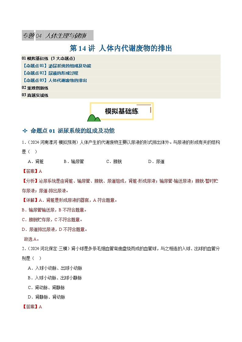 2025年中考生物一轮复习 第14讲 人体内代谢废物的排出（3大命题点分层精练）（解析版）第1页