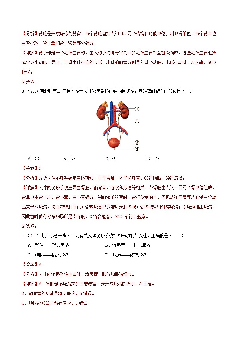 2025年中考生物一轮复习 第14讲 人体内代谢废物的排出（3大命题点分层精练）（解析版）第2页