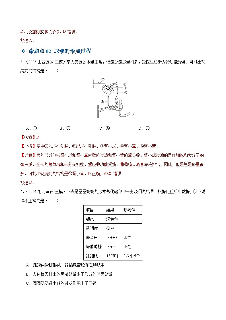 2025年中考生物一轮复习 第14讲 人体内代谢废物的排出（3大命题点分层精练）（解析版）第3页