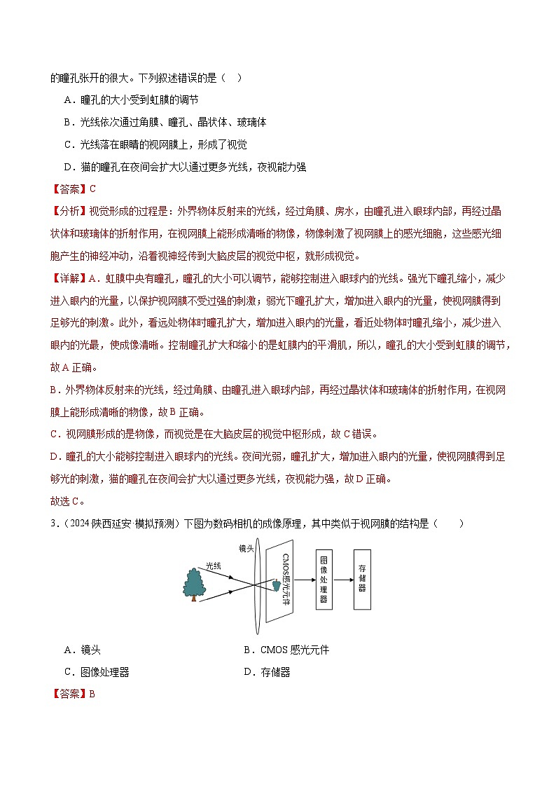2025年中考生物一轮复习 第15讲 人体生命活动的调节（6大命题点分层精练）（解析版）第2页