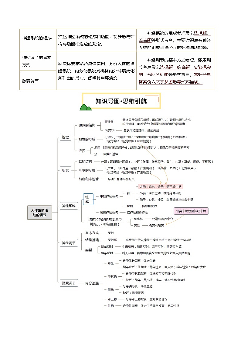 2025年中考生物一轮复习 第15讲 人体生命活动的调节（精研讲义）（原卷版）第2页