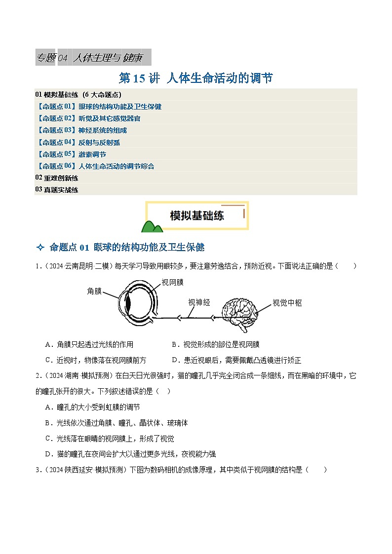 2025年中考生物一轮复习 第15讲 人体生命活动的调节（6大命题点分层精练）（原卷版）第1页