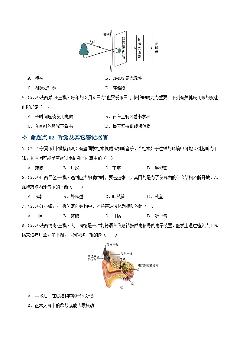 2025年中考生物一轮复习 第15讲 人体生命活动的调节（6大命题点分层精练）（原卷版）第2页