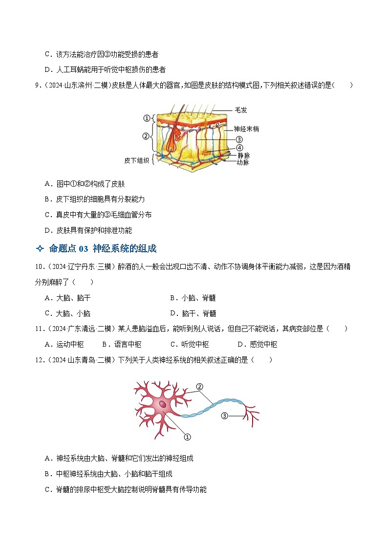 2025年中考生物一轮复习 第15讲 人体生命活动的调节（6大命题点分层精练）（原卷版）第3页