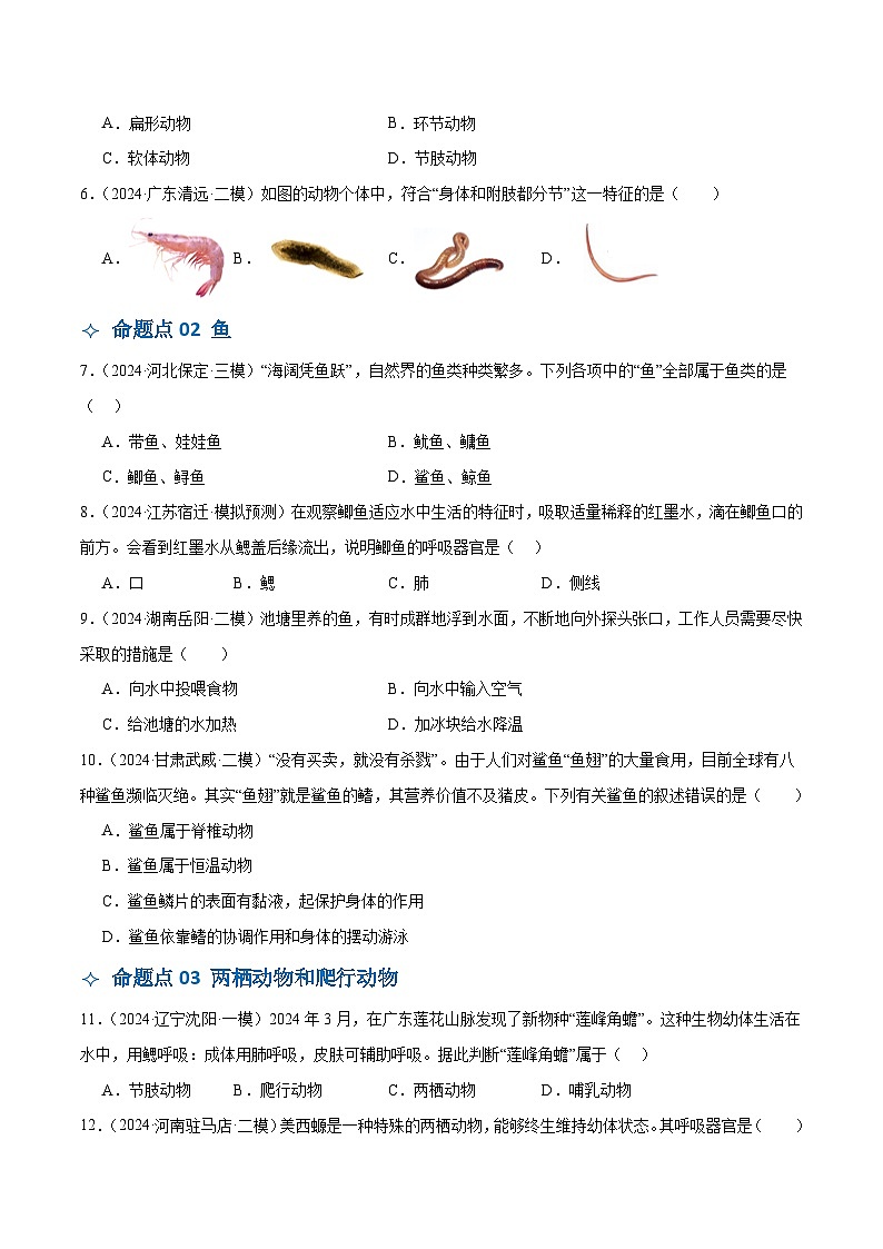 2025年中考生物一轮复习 第17讲 动物的主要类群（4大命题点分层精练）（原卷版）第2页