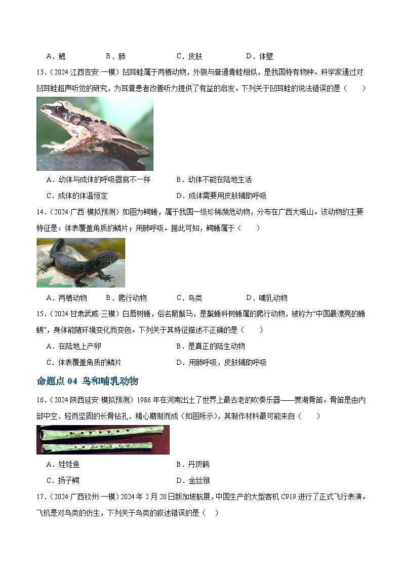 2025年中考生物一轮复习 第17讲 动物的主要类群（4大命题点分层精练）（原卷版）第3页