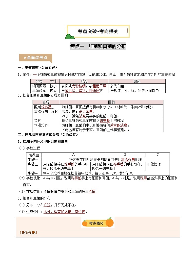 2025年中考生物一轮复习 第19讲 细菌、真菌和病毒（精研讲义）（解析版）第3页