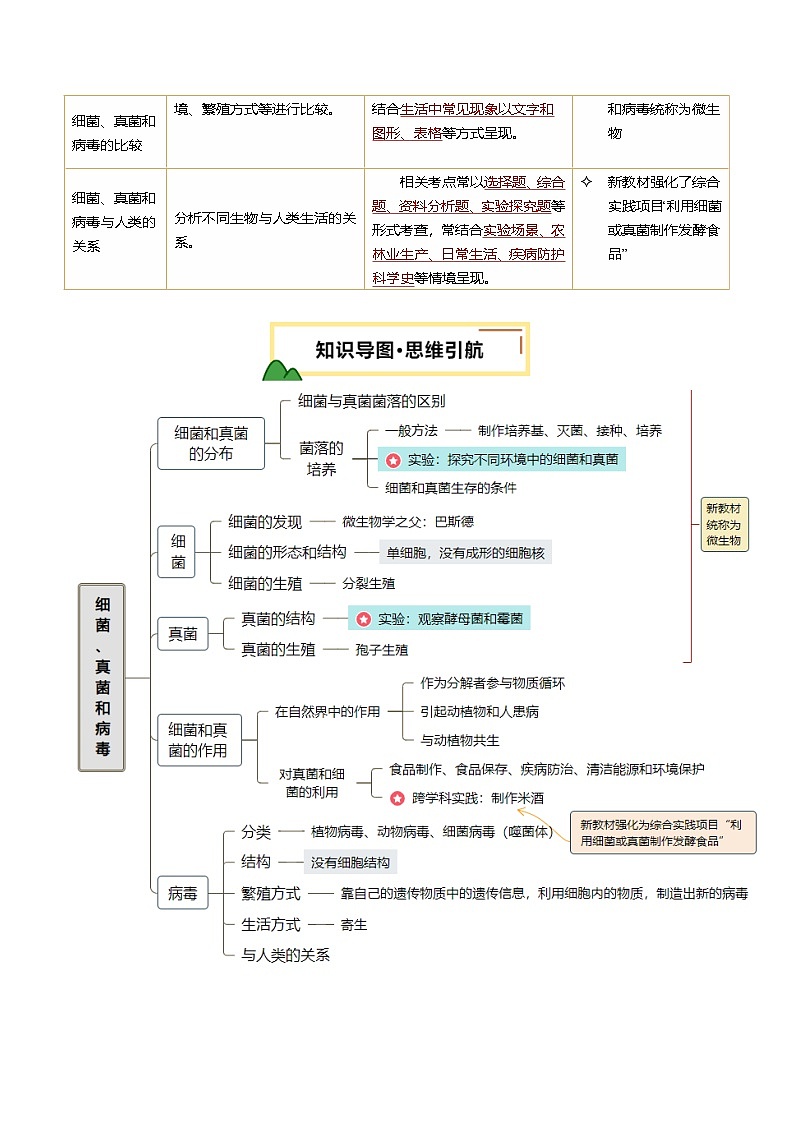 2025年中考生物一轮复习 第19讲 细菌、真菌和病毒（精研讲义）（原卷版）第2页
