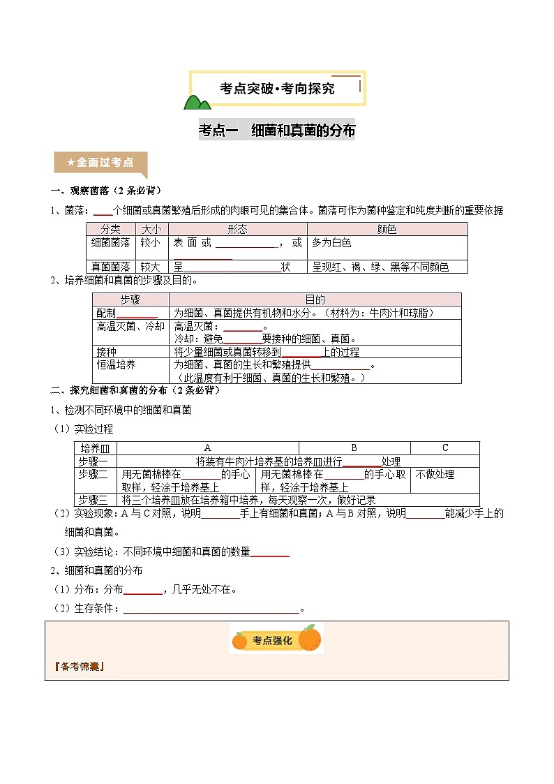 2025年中考生物一轮复习 第19讲 细菌、真菌和病毒（精研讲义）（原卷版）第3页