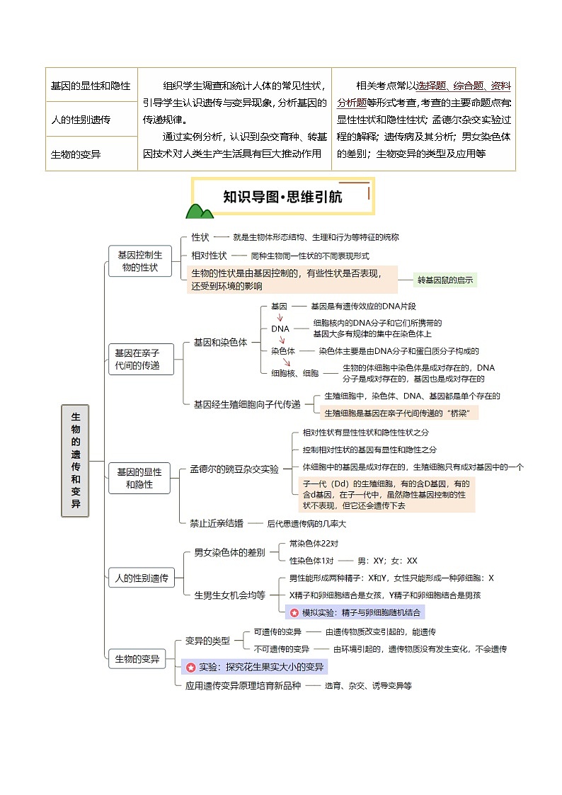 2025年中考生物一轮复习 第22讲 生物的遗传和变异（精研讲义）（解析版）第2页
