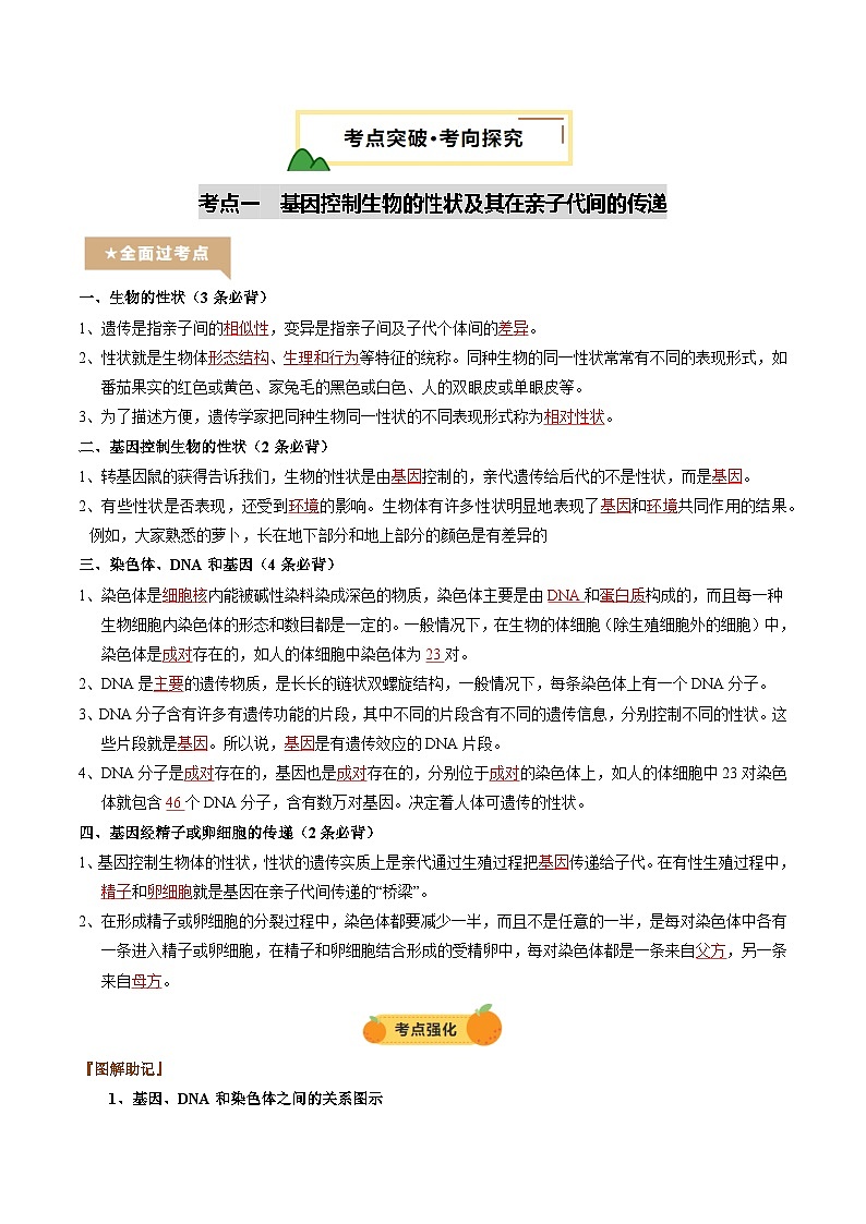 2025年中考生物一轮复习 第22讲 生物的遗传和变异（精研讲义）（解析版）第3页