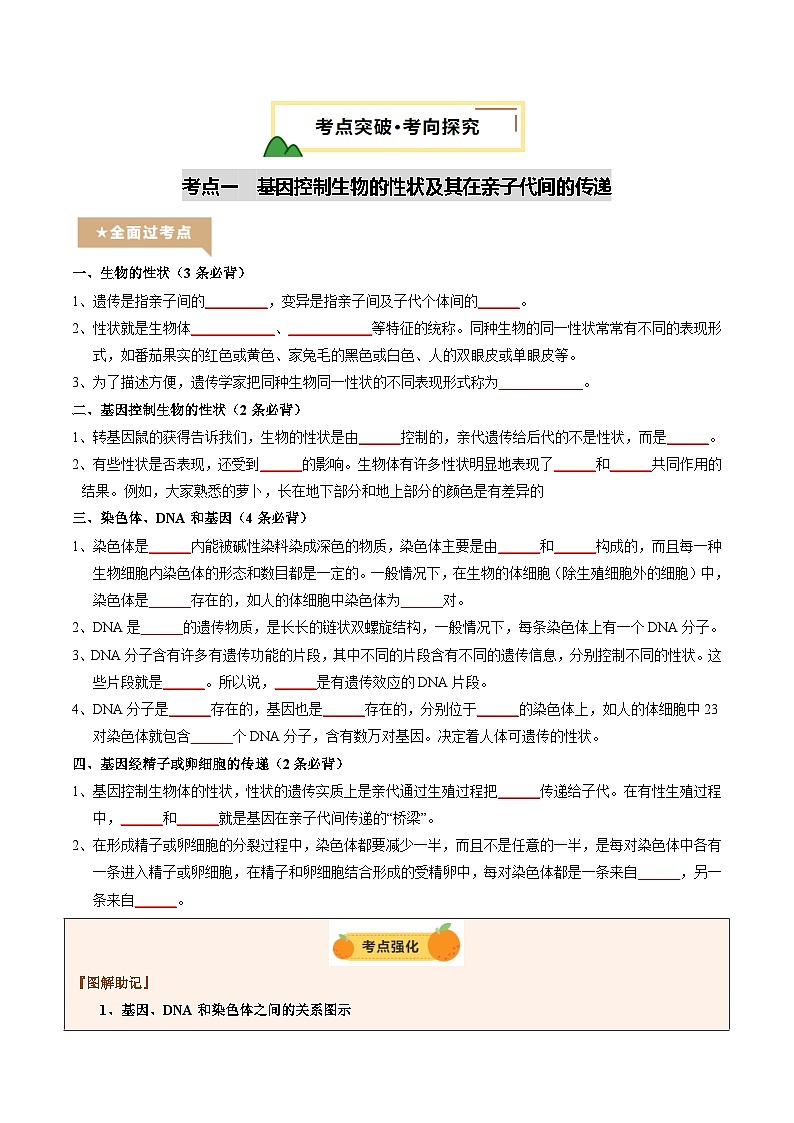 2025年中考生物一轮复习 第22讲 生物的遗传和变异（精研讲义）（原卷版）第3页