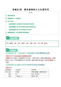 中考生物总复习易错点05 绿色植物的三大生理作用-备战2024年中考生物考试易错题（全国通用）（解析版）