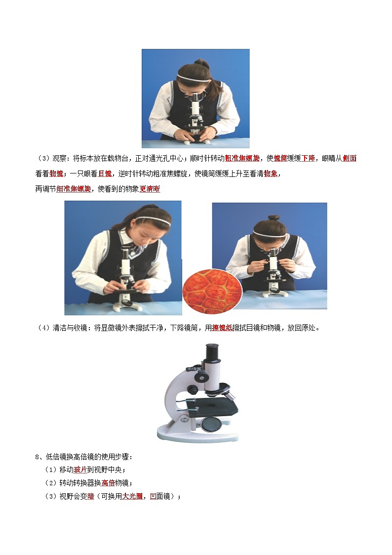 中考生物总复习专题02 练习使用显微镜（5大题型）-【实验攻略】备战2024年中考生物实验题型通关（解析版）第3页