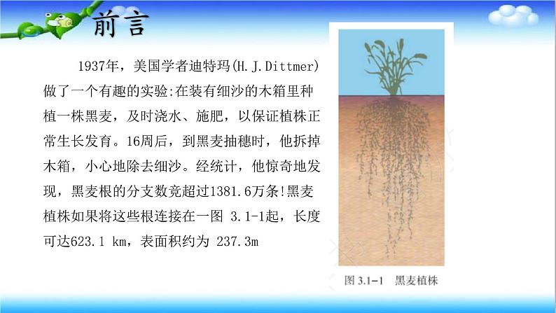 3.1.1 植物的根能够吸收水和无机盐 - 初中生物七年级下册 同步教学课件（济南版2024）第2页