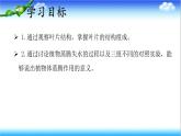 3.1.2 蒸腾作用促进植物对水的吸收和运输 - 初中生物七年级下册 同步教学课件（济南版2024）