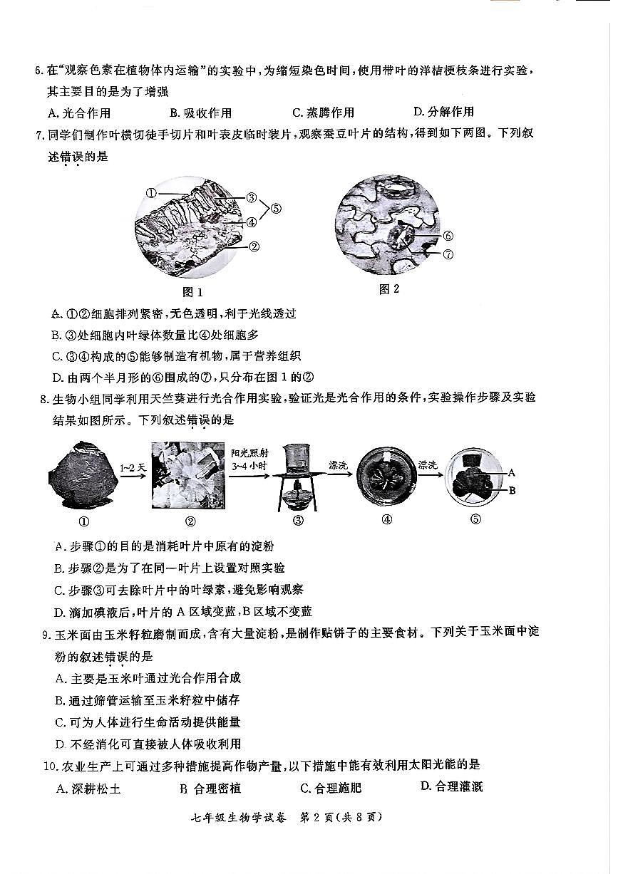 2025北京通州初一（上）期末生物试卷（有答案）第2页
