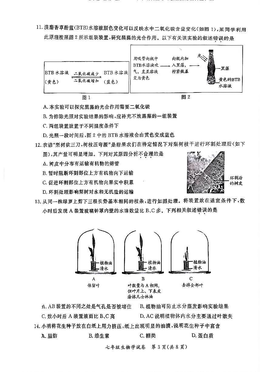 2025北京通州初一（上）期末生物试卷（有答案）第3页