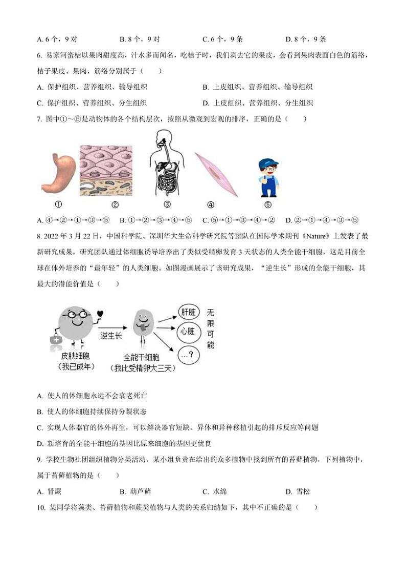 2024～2025学年安徽省芜湖市七年级上期末生物试卷(含答案)第2页