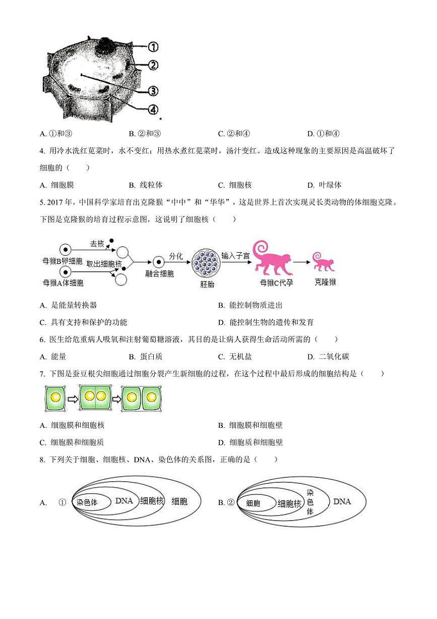 2024～2025学年广东省广州市海珠区七年级上期末生物试卷(含答案)第2页