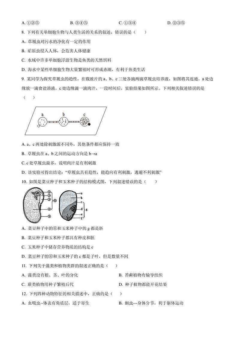 2024～2025学年吉林省长春市经开区七年级上期末生物试卷(含答案)第2页