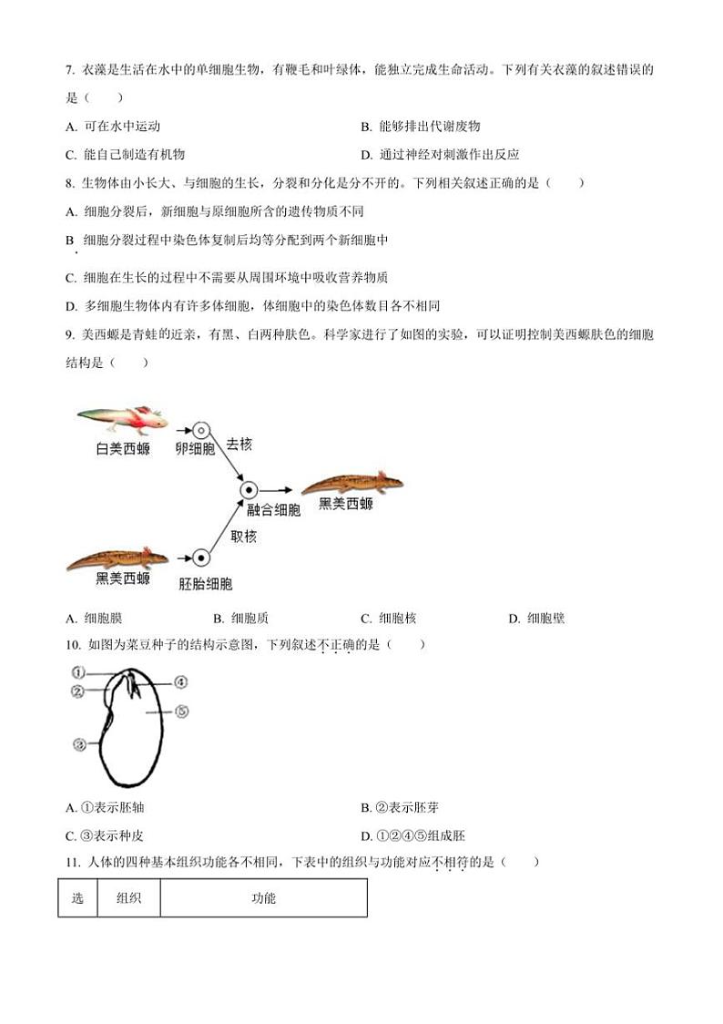 2024～2025学年吉林省长春市长春净月高新技术产业开发区七年级上期末生物试卷(含答案)第2页